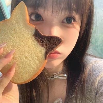 蒂科与鲨鱼